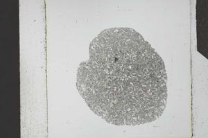 Plane Polarized, S24703