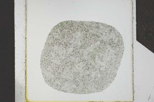 Plane Polarized, S24704