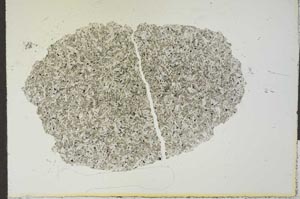 Plane Polarized, S24743