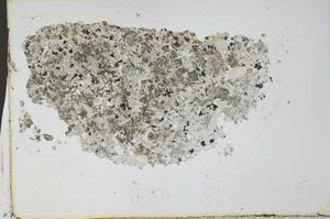 Plane Polarized, S24766