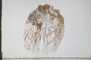 Plane Polarized, S24770