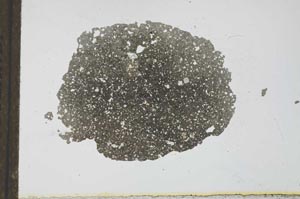 Plane Polarized, S24771