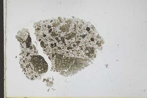 Plane Polarized, S24774