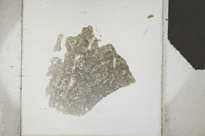 Plane Polarized, S24783