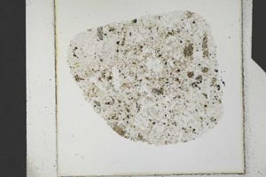 Plane Polarized, S24784