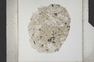 Plane Polarized, S24786