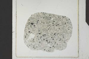 Plane Polarized, S24787