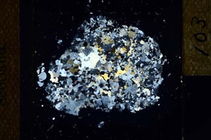 Cross Polarized, S24790