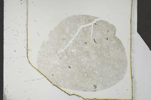 Plane Polarized, S24792
