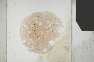 Plane Polarized, S24796