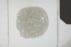 Plane Polarized, S24798