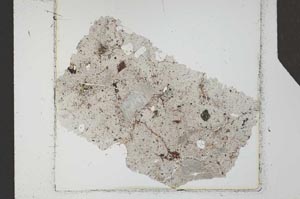 Plane Polarized, S24799