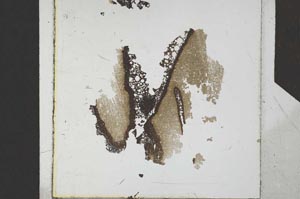 Plane Polarized, S24803