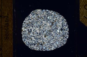 Cross Polarized, S24811