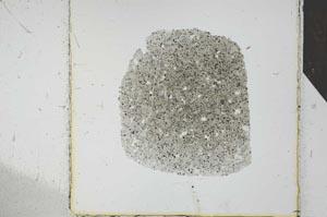 Plane Polarized, S24823