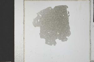 Plane Polarized, S24824