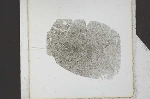 Plane Polarized, S24826