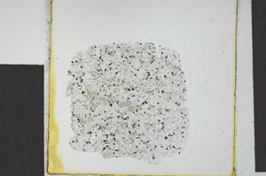Plane Polarized, S24827