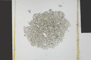 Plane Polarized, S24828