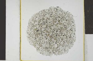 Plane Polarized, S24829