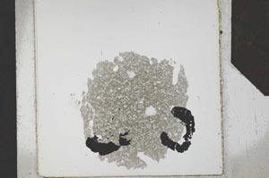 Plane Polarized, S24830
