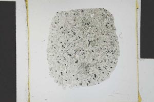 Plane Polarized, S24832