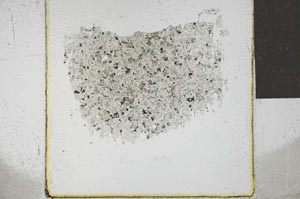 Plane Polarized, S24834
