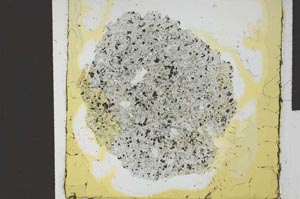 Plane Polarized, S24836