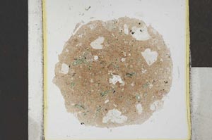 Plane Polarized, S24839