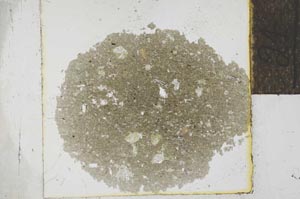 Plane Polarized, S24849