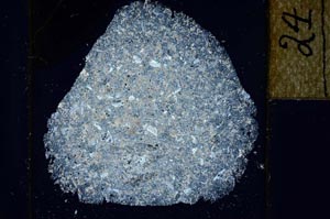 Cross Polarized, S24853