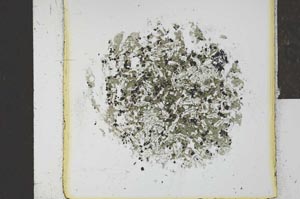 Plane Polarized, S24859