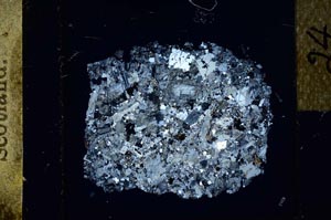 Cross Polarized, S24863