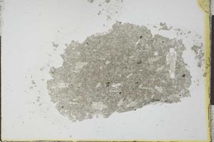Plane Polarized, S24878