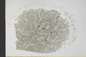 Plane Polarized, S24879