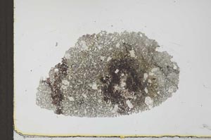 Plane Polarized, S24883