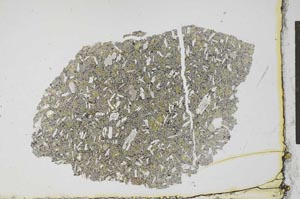 Plane Polarized, S24887