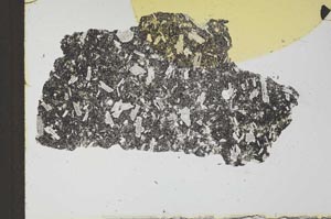 Plane Polarized, S24888