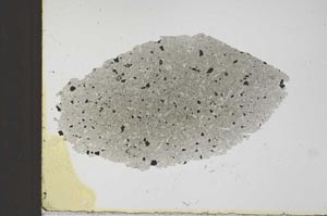 Plane Polarized, S24893