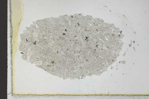 Plane Polarized, S24896