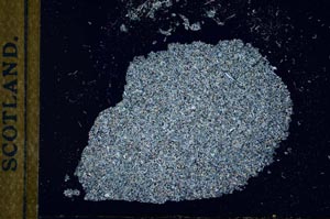 Cross Polarized, S24904