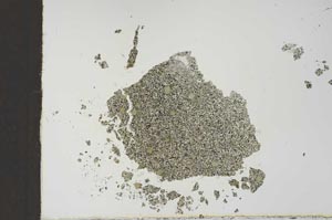 Plane Polarized, S24932