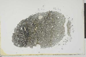 Plane Polarized, S24952