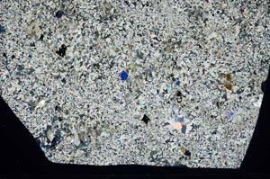 Cross Polarized, S24956/A