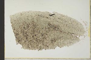 Plane Polarized, S24965