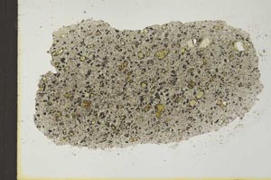 Plane Polarized, S24974