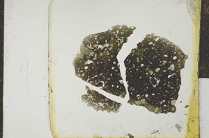 Plane Polarized, S24980