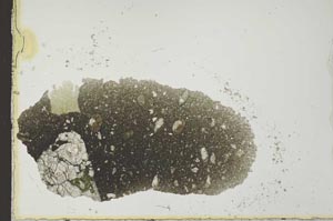 Plane Polarized, S24984