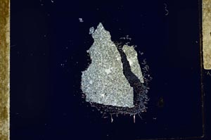 Cross Polarized, S25059