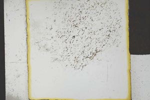 Plane Polarized, S25127